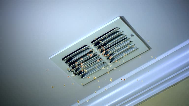 Best Air Duct Cleaning Near Me  in Grenada, MS