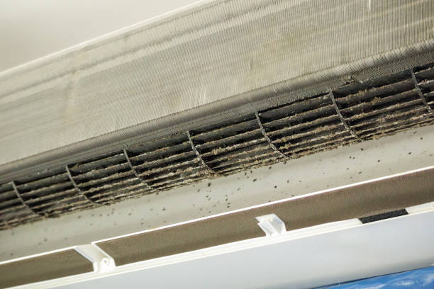 Best Dryer Vent Cleaning Services  in Grenada, MS