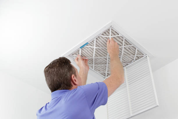 Best Dryer Vent Cleaning Services  in Grenada, MS